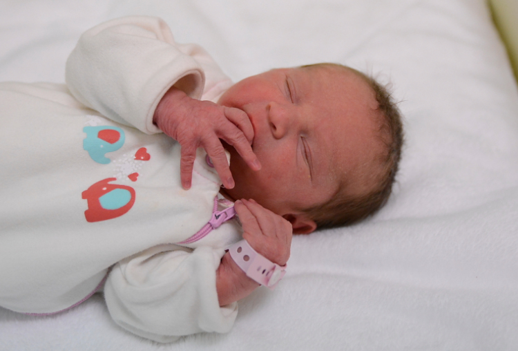 Lechner Csenge Amira, Jánossomorja