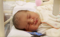 Németh Noémi, Bősárkány