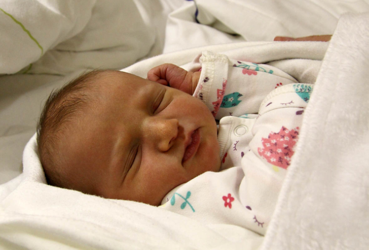 Máté Luca, Mosonmagyaróvár