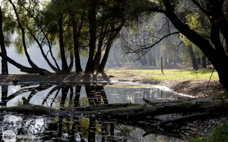 Gyermekeink gondolatai a Szigetközről