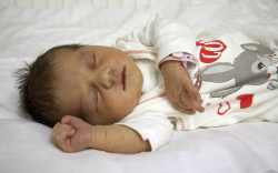 Kovács Zoé, Mosonmagyaróvár