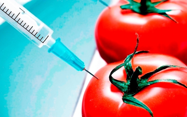Mennyire biztonságosak a génmódosított ételek?