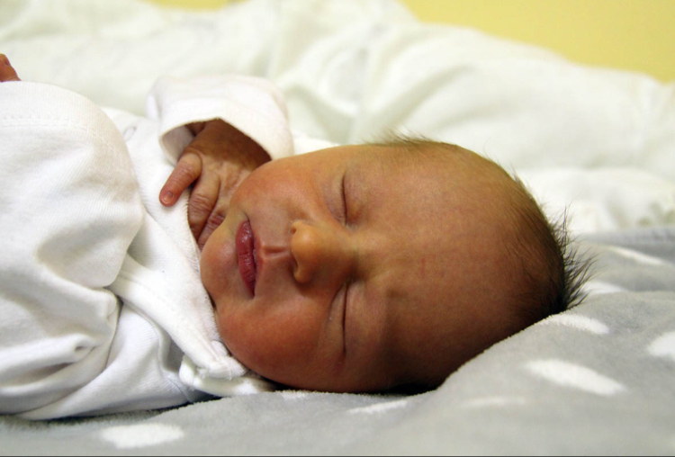 Molnár Marcell, Mosonmagyaróvár