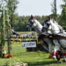 10.  Sajtos-Réti fogathajtó verseny 