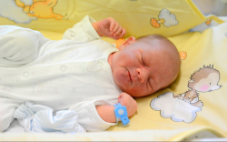 Kiss Botond, Mosonmagyaróvár