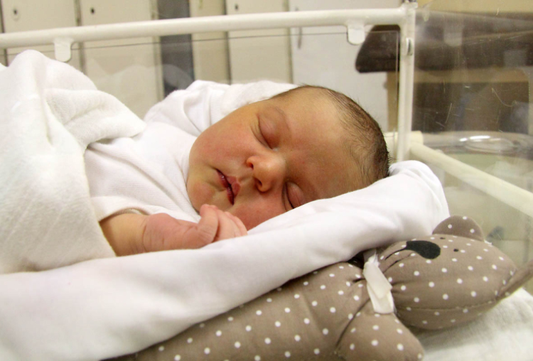 Cikhart Maja, Mosonmagyaróvár