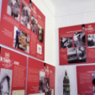 Timaffy: A Kisalföld szolgálómestere