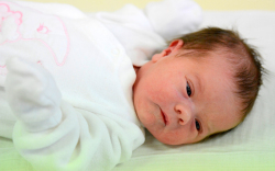 Fodor Csenge, Bősárkány