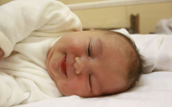 Kajtár Hanna, Levél