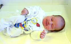 Németh Zádor, Jánossomorja