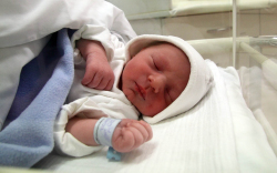 Kelemen Richárd Bálint, Jánossomorja