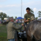10.  Sajtos-Réti fogathajtó verseny 
