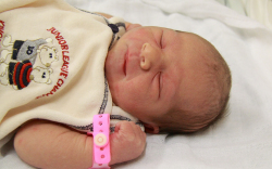 Szigeti Flóra, Mosonmagyaróvár