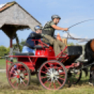 10.  Sajtos-Réti fogathajtó verseny 