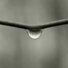 Scháling Anita Fotóalbuma