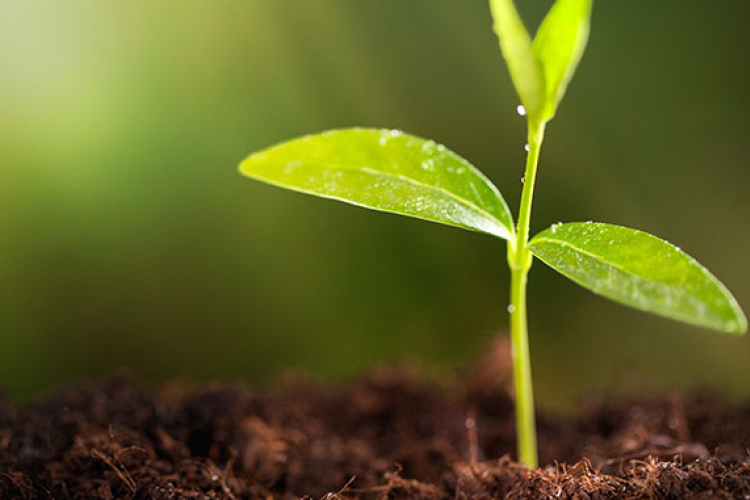 Példamutató tanárokat és edzőket keresnek