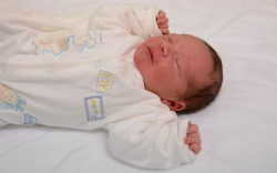 Takaró Csongor, Mosonmagyaróvár