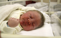 Gurdon Csaba, Mosonmagyaróvár