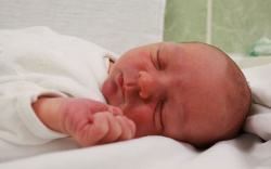 Pribéli Áron, Mosonmagyaróvár