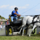 10.  Sajtos-Réti fogathajtó verseny 