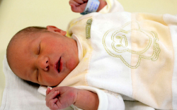 Farkas-Bognár Amira Anna, Mosonmagyaróvár