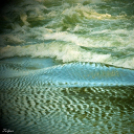 Őszi képek a Szigetközben