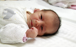 Antal Boglárka, Kimle