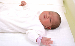 Vida Magdolna Viktória, Mecsér