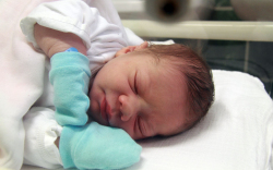 Kovarek Zádor, Dunasziget