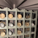 Lajta Monitor Múzeumhajó kiállításmegnyitó Gönyün