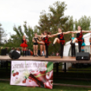 Szigetköz Lelke Pálinkaház - Családi program és a IV. bérfőzetői pálinkaverseny eredményhirdetése