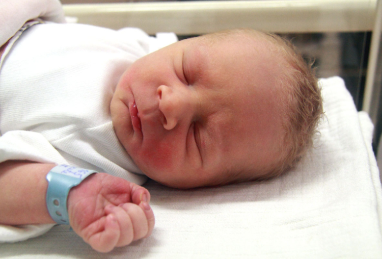 Szalay Levente, Csorna