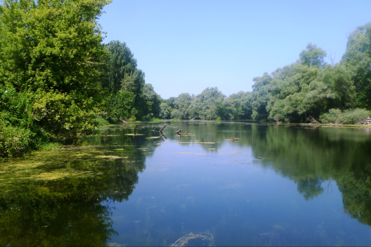 Sümegi Mirjam Jozefin: Utazás a Dunán