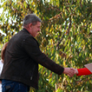 Szigetköz Lelke Pálinkaház - Családi program és a IV. bérfőzetői pálinkaverseny eredményhirdetése