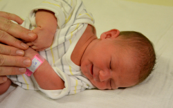 Krábel Linett, Dunakiliti