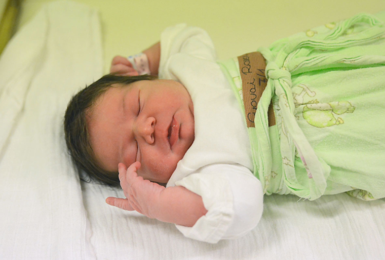 Gyovai Rozi, Bősárkány