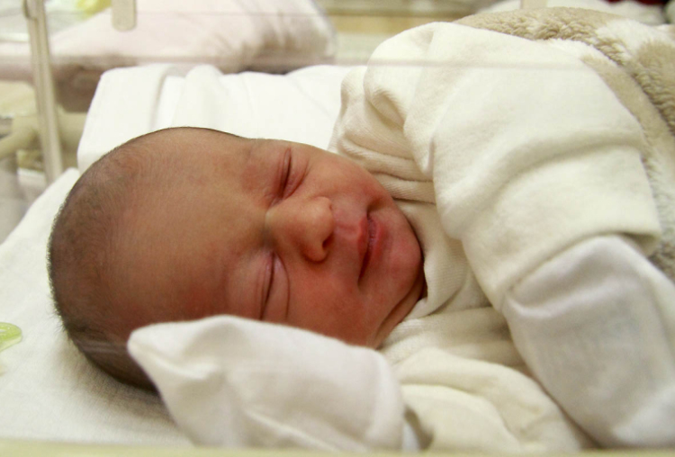 Babos Benedek, Feketeerdő