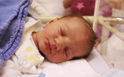 Varga Nimród, Mosonmagyaróvár