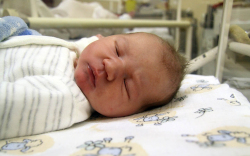 Jankovics Krisztofer, Mosonmagyaróvár