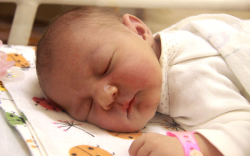 Pityer Júlia Dóra, Győr