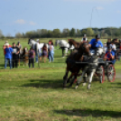 10.  Sajtos-Réti fogathajtó verseny 