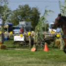 10.  Sajtos-Réti fogathajtó verseny 