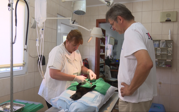 Ivartalanítási akciót hirdetnek Jánossomorján