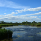 Bánhegyi Photography - Szigetköz képekben