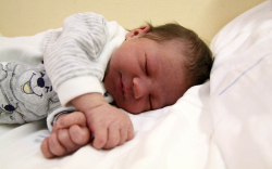 Szeles Alex, Mosonmagyaróvár