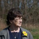 Az ország legnagyobb napóráját avatták Dunaszigeten