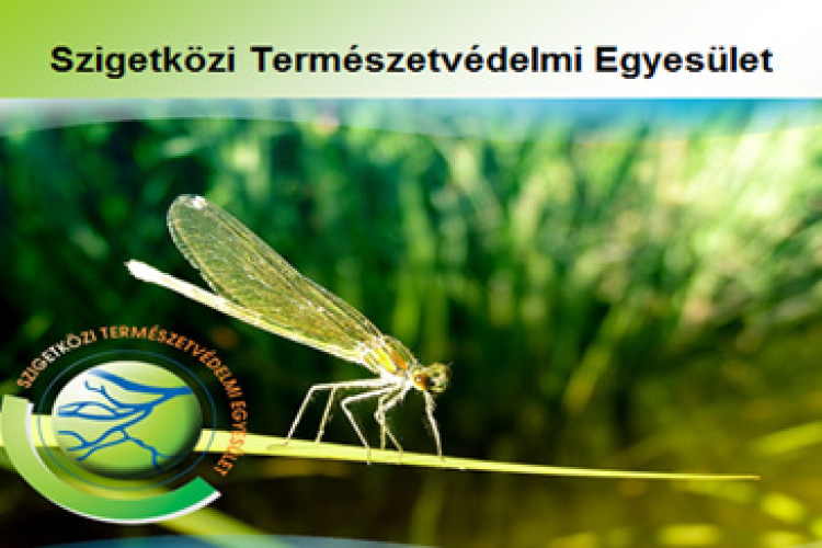 SZITE Napok Máriakálnokon