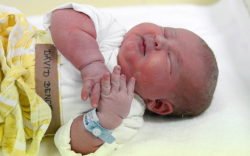 Dávid Bence, Győrújbarát