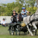 10.  Sajtos-Réti fogathajtó verseny 