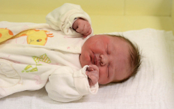 Kampf Elizabet, Mosonmagyaróvár